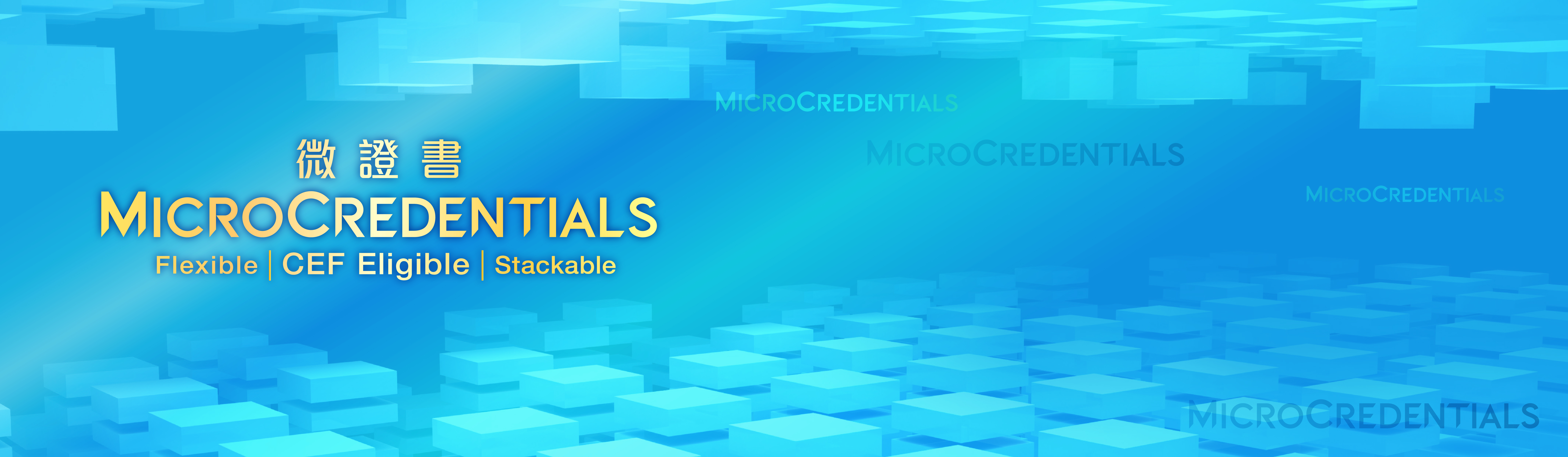 Microcredentials