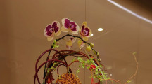 European Floral Art Demonstration