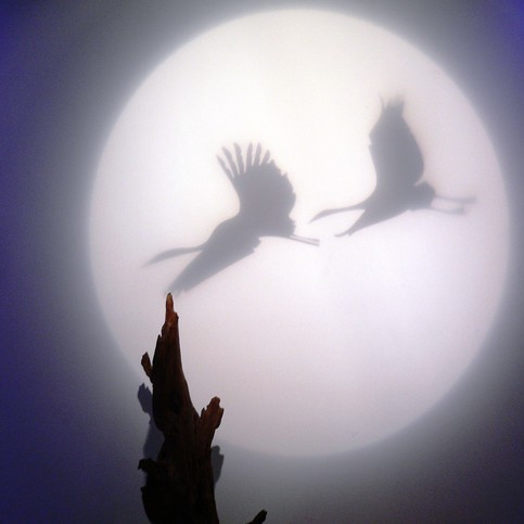 Culture & Philosophy