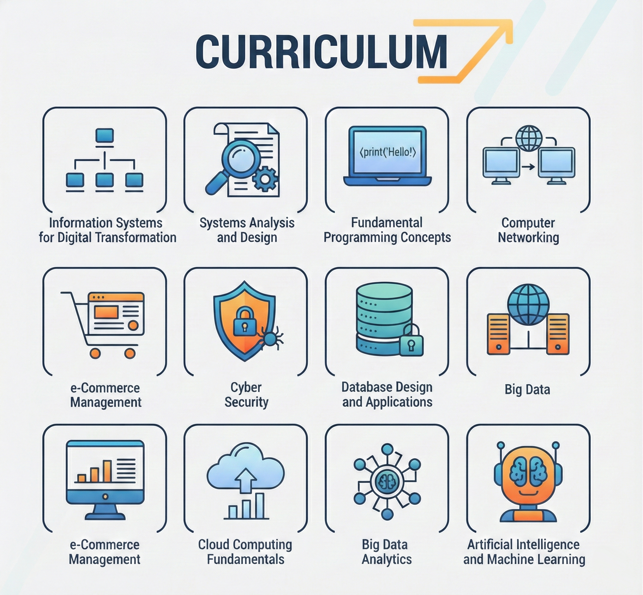 Curriculum