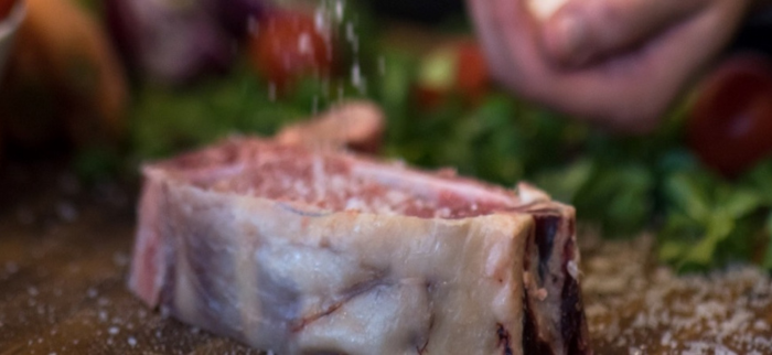 Gourmet and Culinary Art