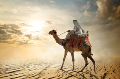 學習阿拉伯語，了解石油國度