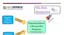 Articulation pathway for Enterprise Risk Management