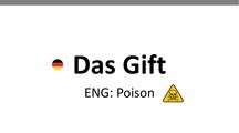 【Easy German - das Gift 】