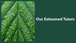 Our Esteemed Tutors