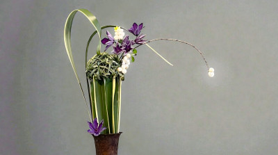 Why Study European Botanical and Floral Art and Design?