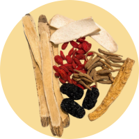 Spleen Strengthening & Qi Invigoration Soup