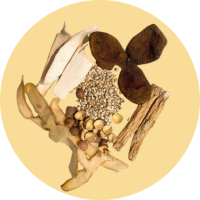 Lung-Moistening & Beauty Soup