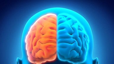 心理学高等证书